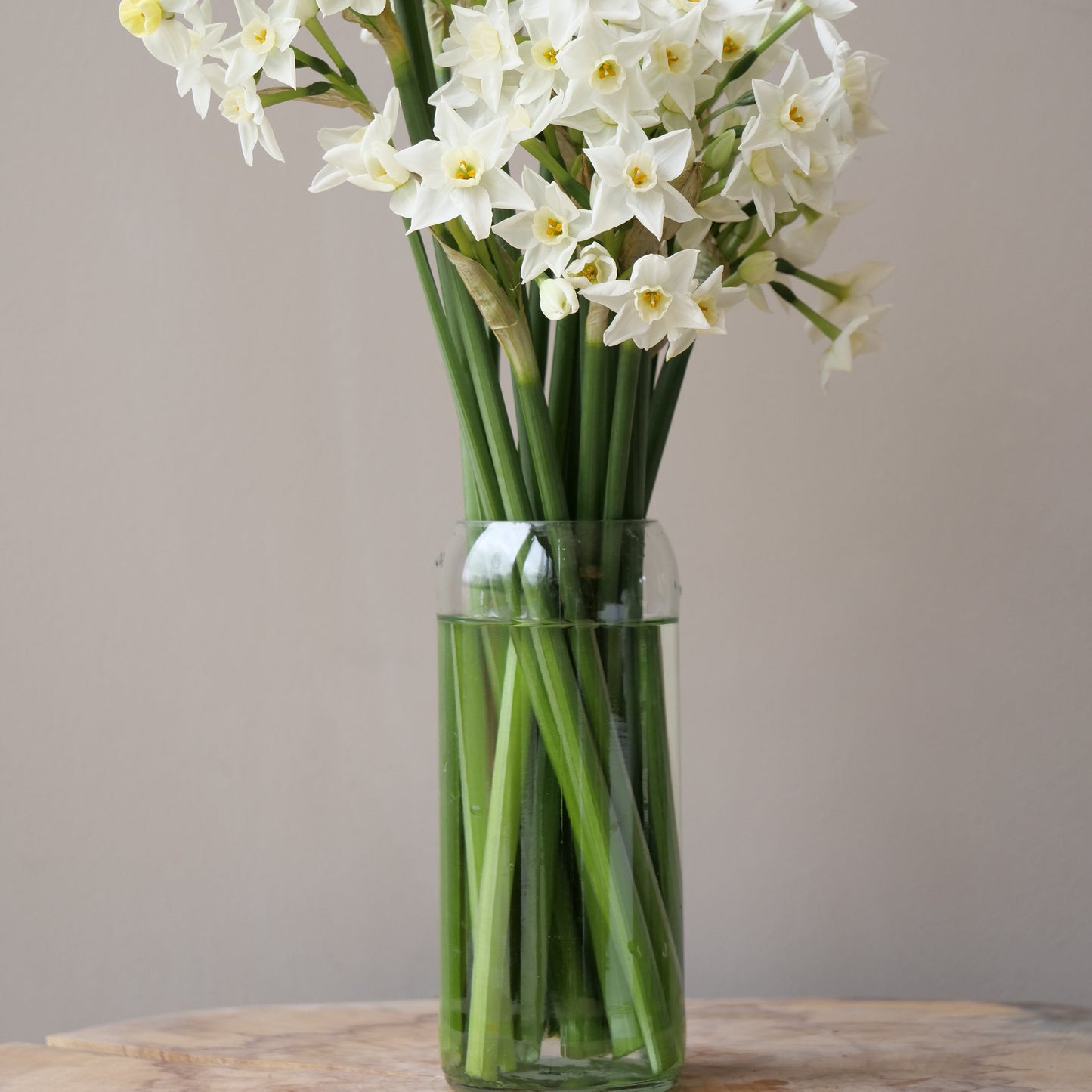 The Bordeaux Clear Vase