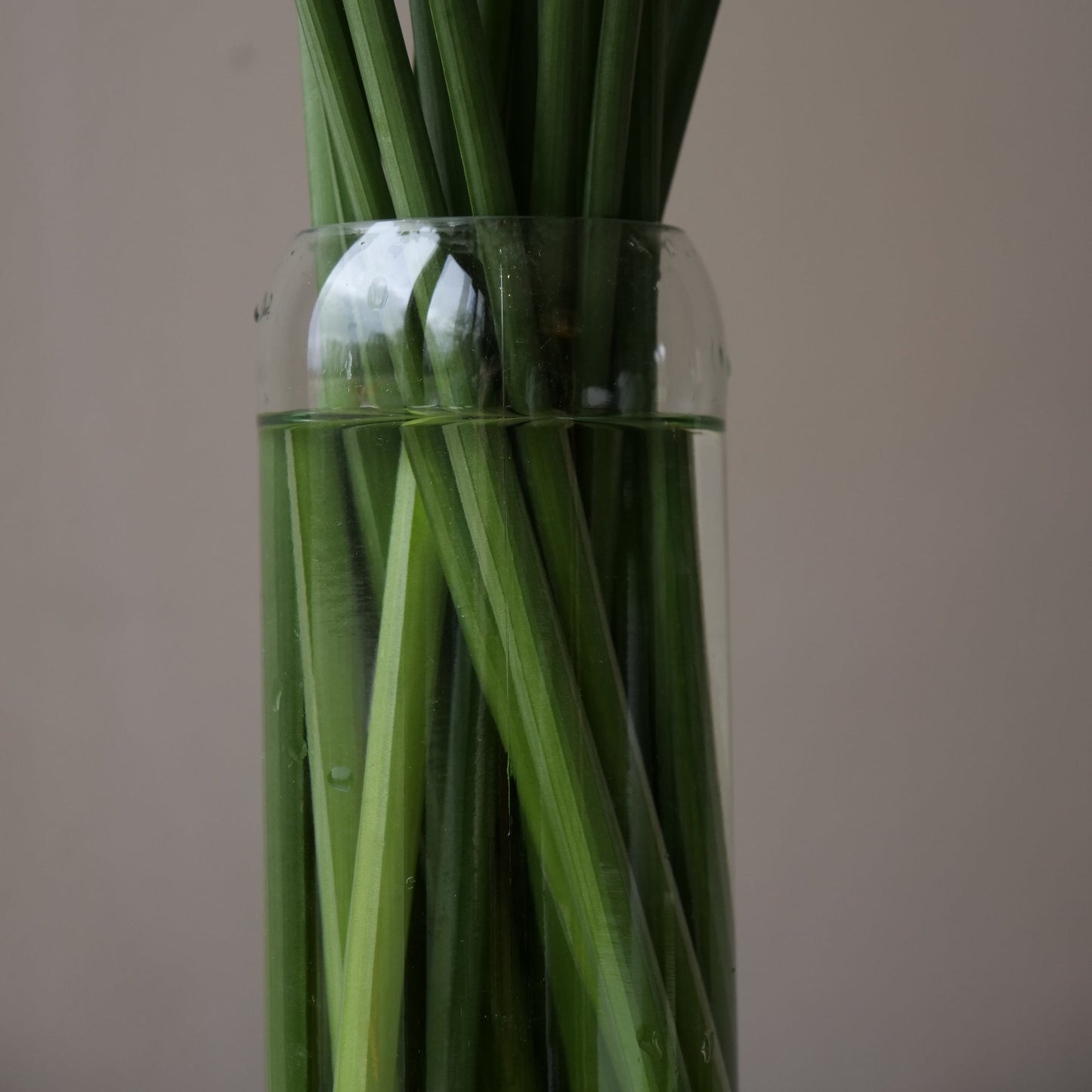 The Bordeaux Clear Vase