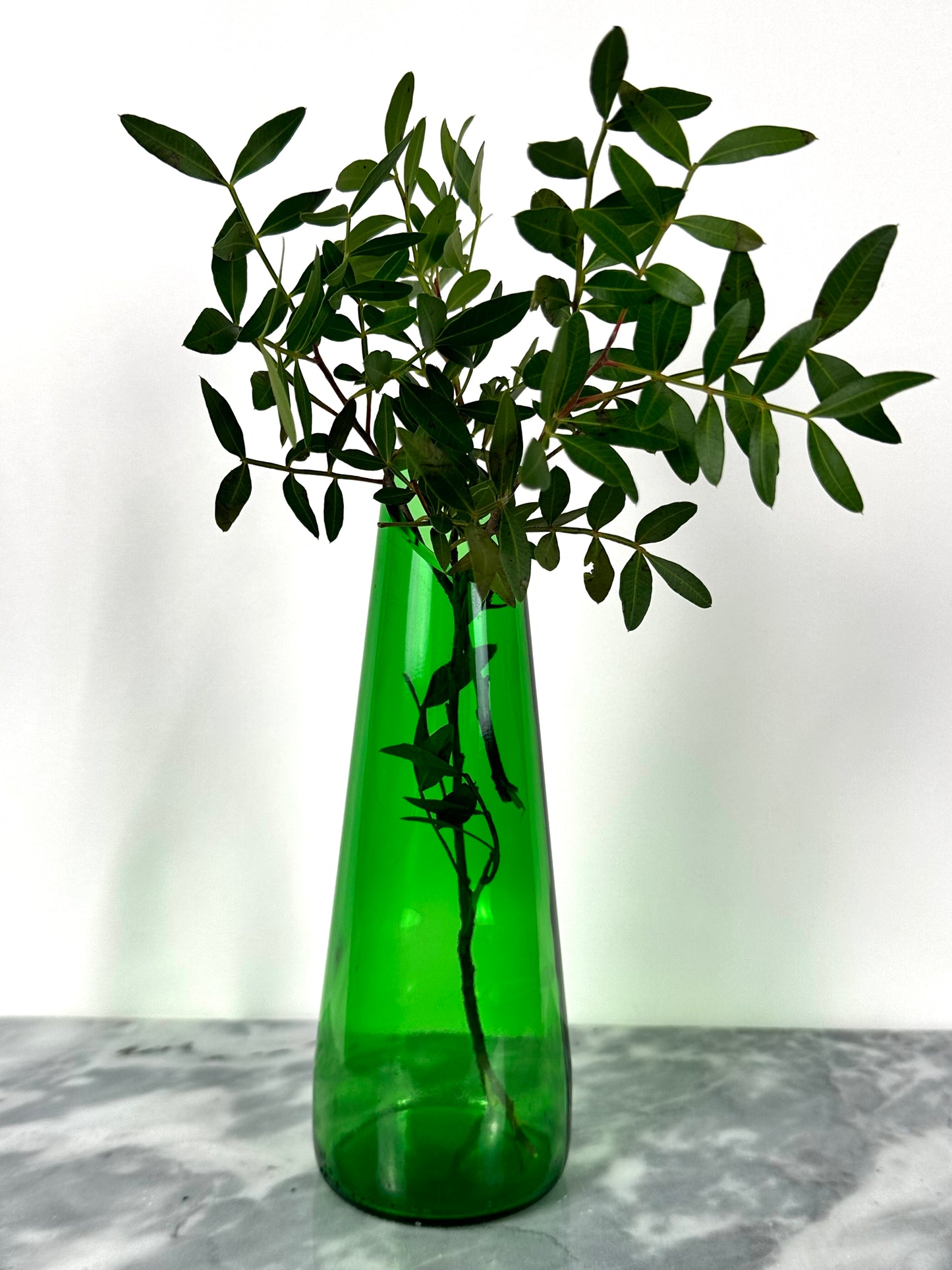 Green Bottle Vase
