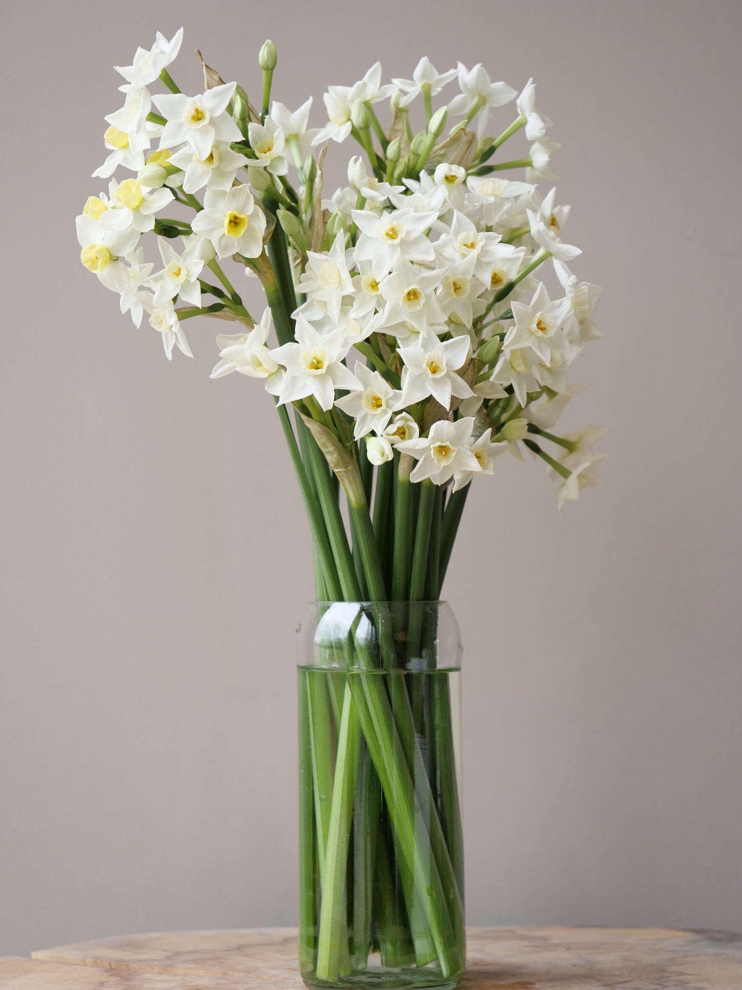 The Bordeaux Clear Vase