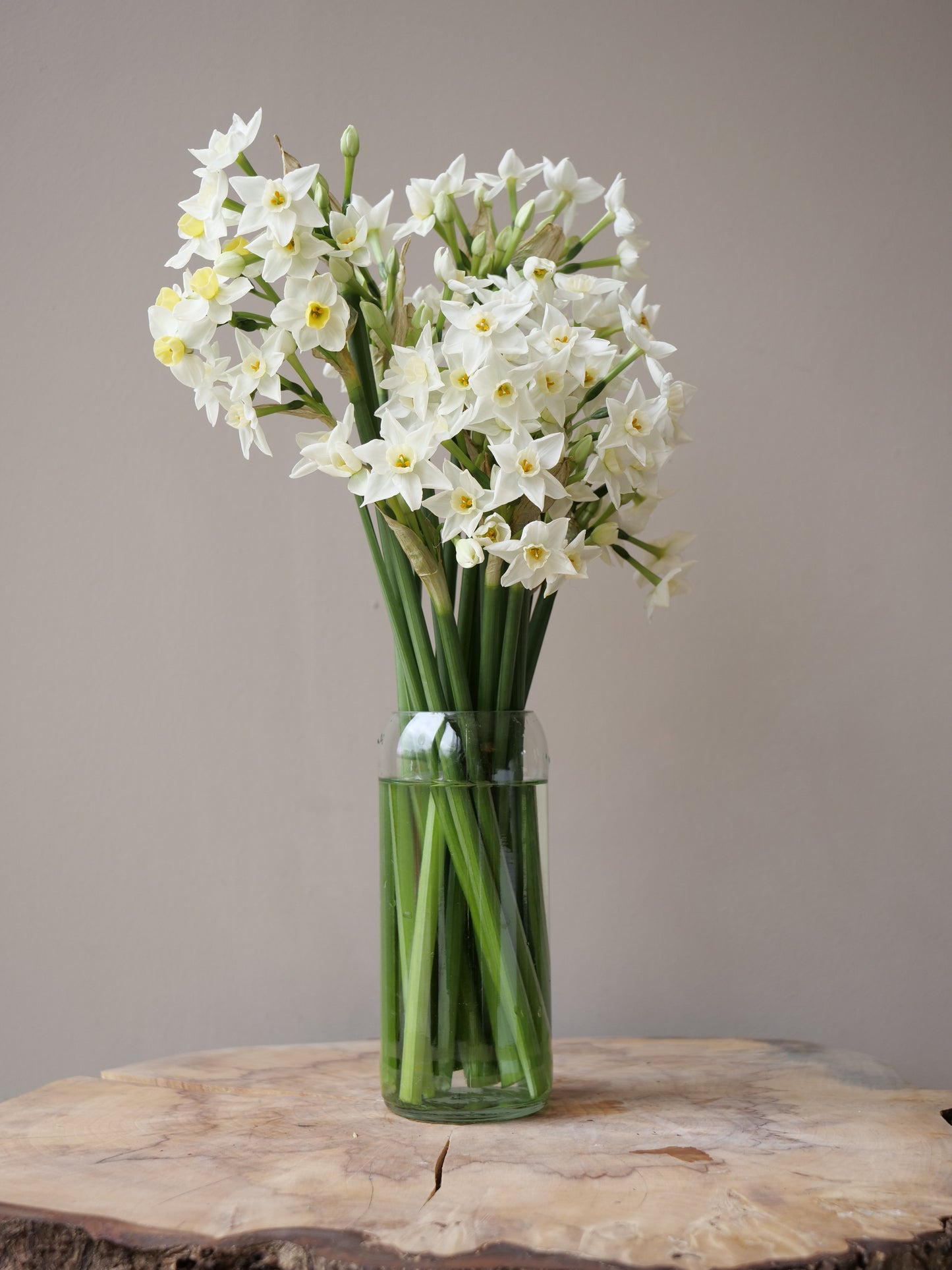 The Bordeaux Clear Vase