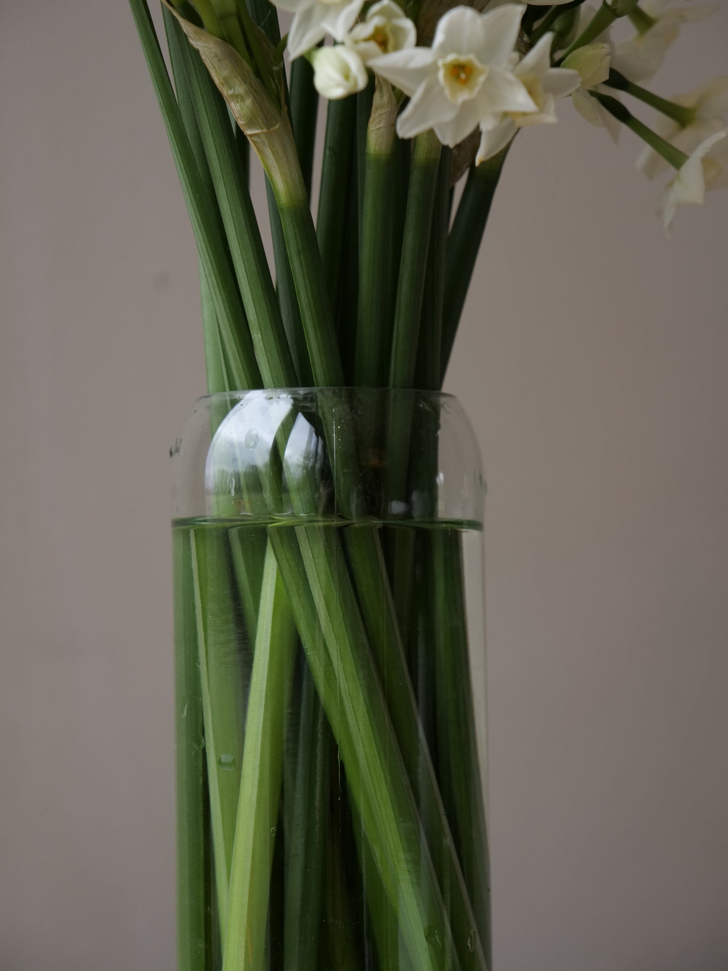 The Bordeaux Clear Vase